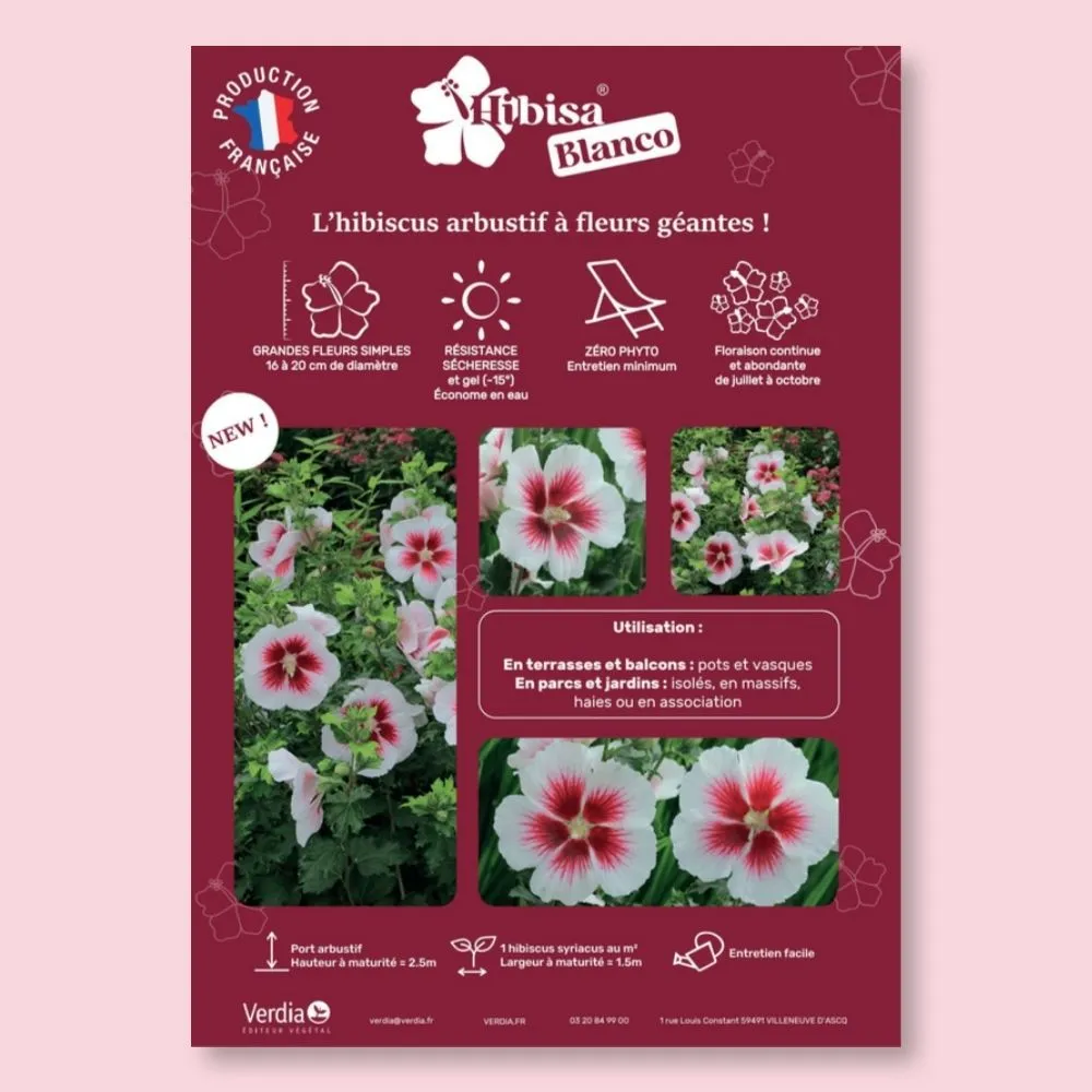 ​Affichette A4 PVC HIBISA BLANCO
