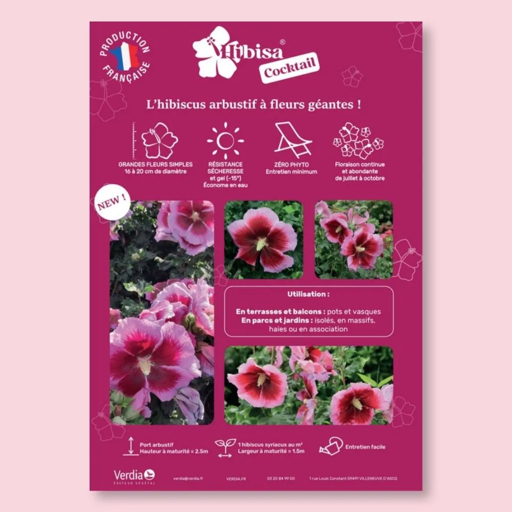 [AFFPVCHIBCOC2] ​Affichette A4 PVC HIBISA COCKTAIL
