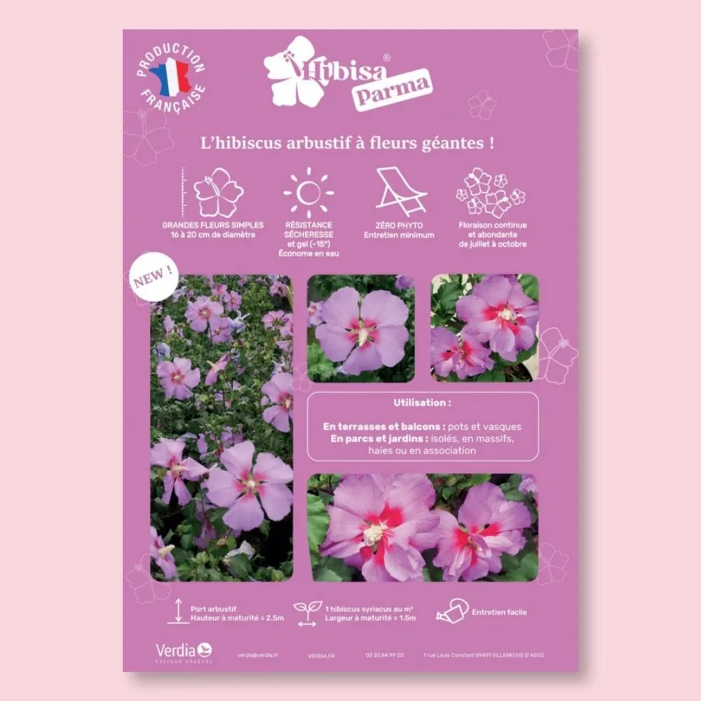 [AFFPVCHIBPAR2] ​Affichette A4 PVC HIBISA PARMA