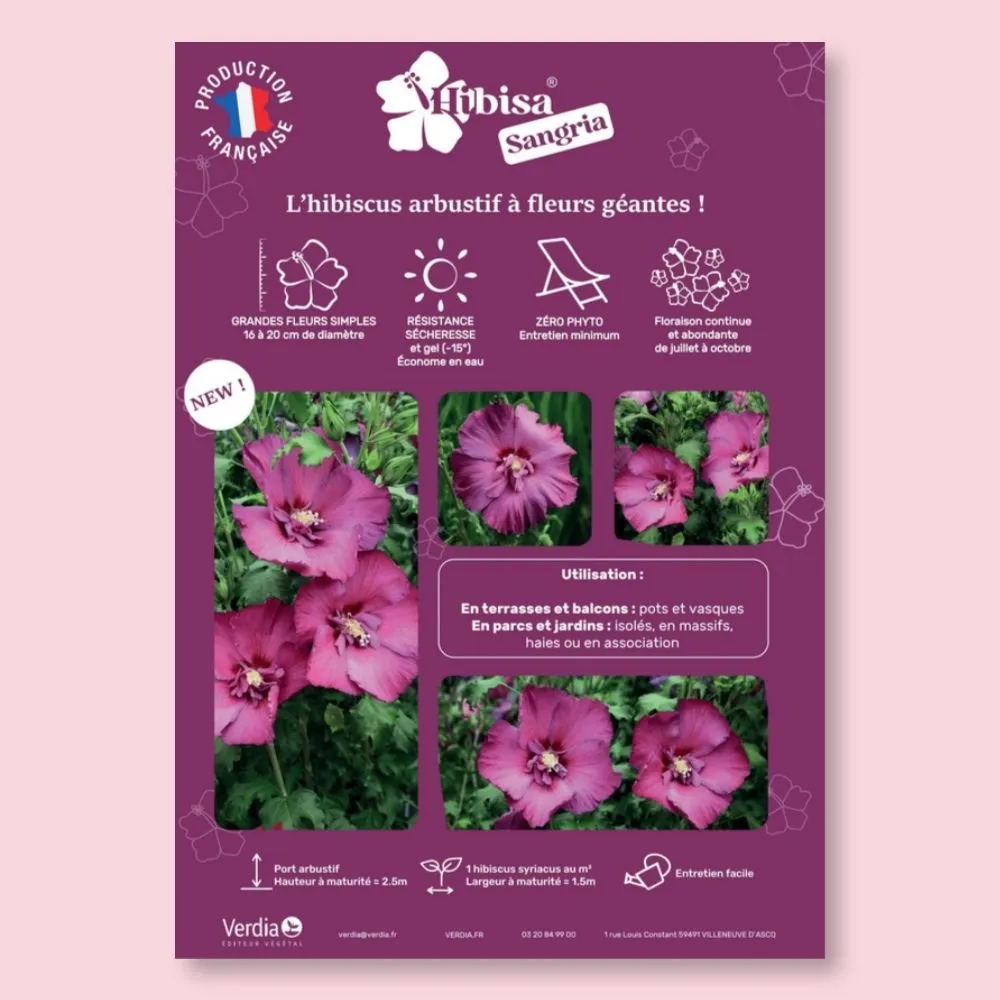 [AFFPVCHIBSAN2] ​Affichette A4 PVC HIBISA SANGRIA
