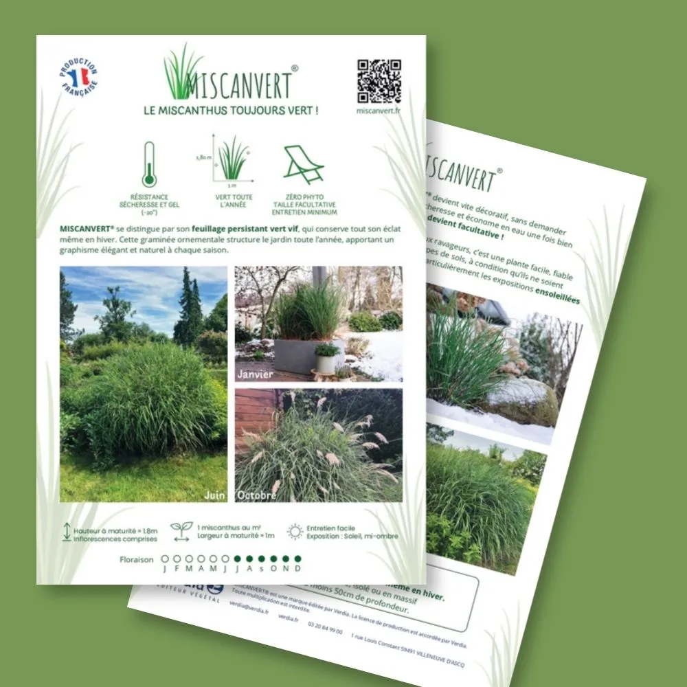 Plaquette A4 Miscanvert® recto verso