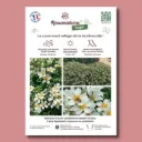 ​Affichette A4 PVC ROSANATURA NAPI®