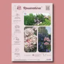 ​Affichette A4 PVC ROSANATURA ROSEA