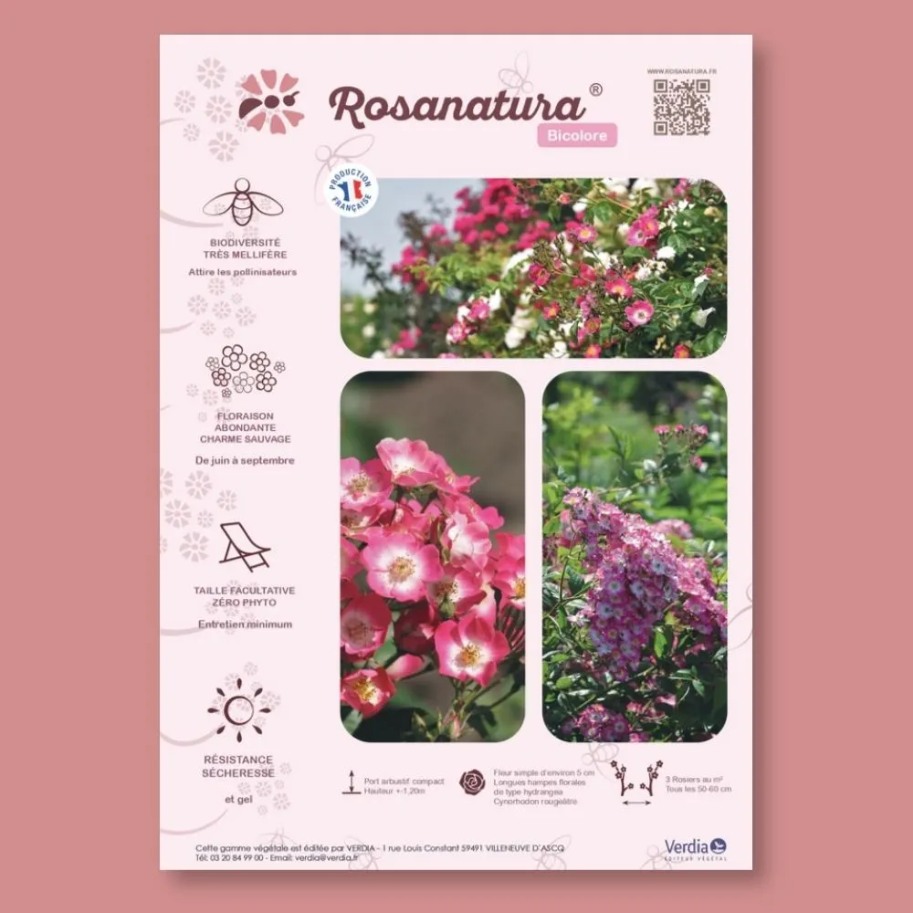 ​Affichette A4 PVC ROSANATURA BICOLORE