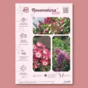 ​Affichette A4 PVC ROSANATURA BICOLORE
